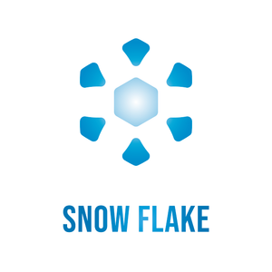 SNOW FLAKE